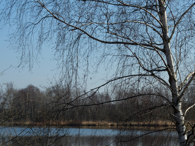 Moorlandschaft © Peter Hansen Moorlandschaft