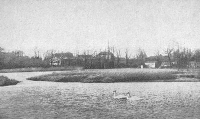 Mühlenteich (vor 1910)